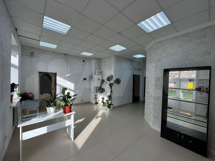 Свободного назначения, 55 м²