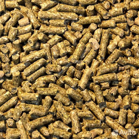 Зерно, семена, комбикорм