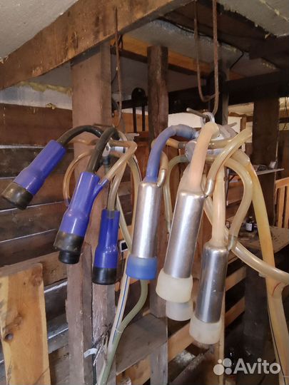 Доильный аппарат для коров бу