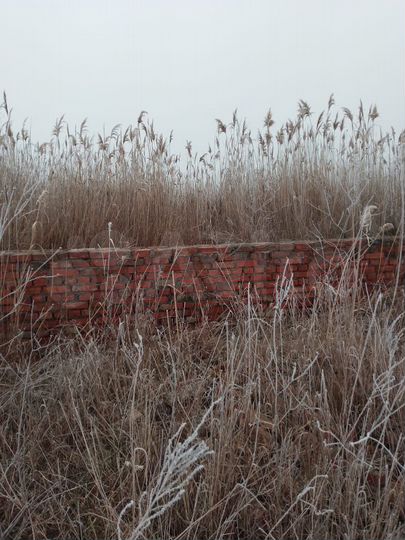 Участок 6 сот. (ИЖС)