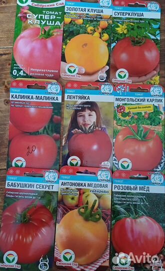 Рассада помидор огурцов перцев