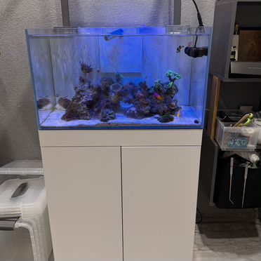 Морской аквариум с тумбой