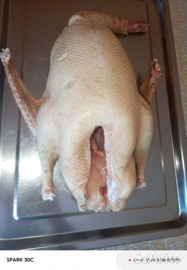 Гусиное мясо