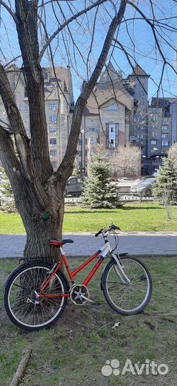 Велосипед TR Triatlon Foresterrace