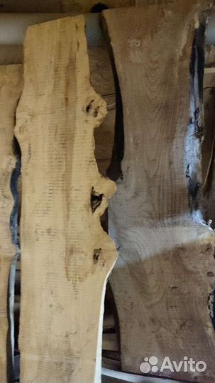 Карагач слэбы