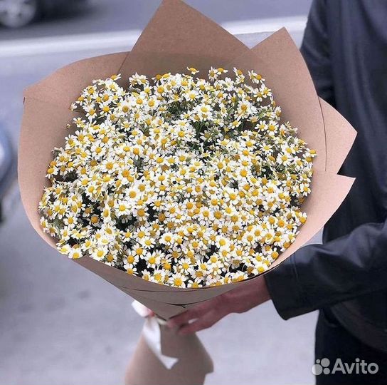 Цветы ромашки