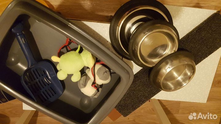 Аксесуары для кошек