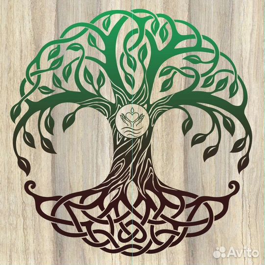 Администратор в студию