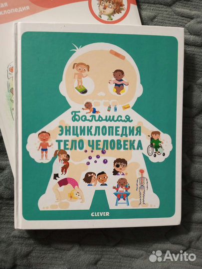 Как устроен человек