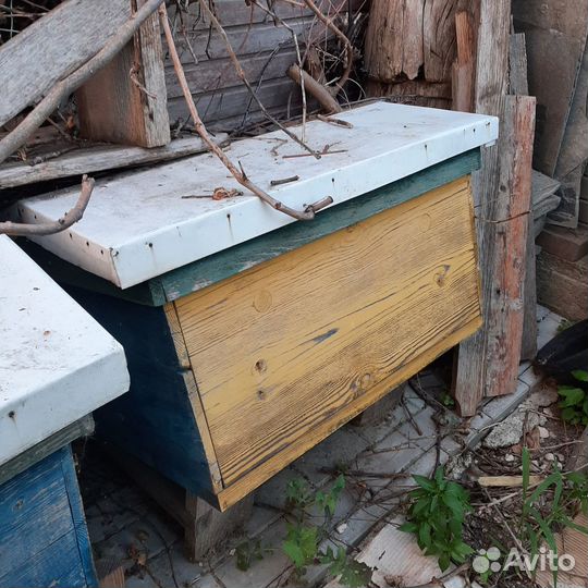 Продам ульи для пчел
