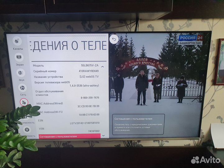 Телевизор 55