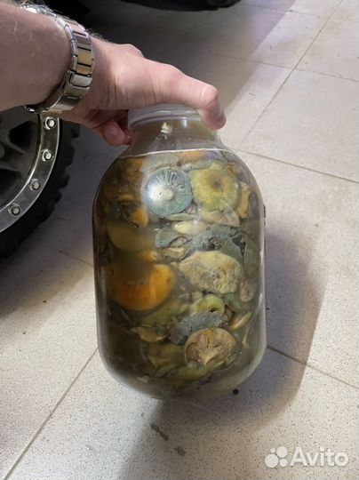 Рыжики соленые