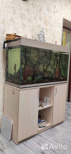 Аквариум с тумбой 240л