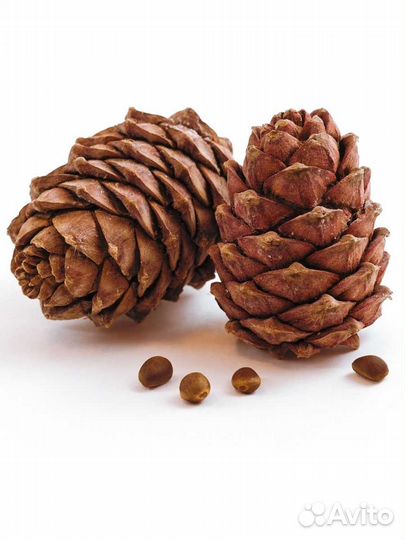 Шишки для поделок