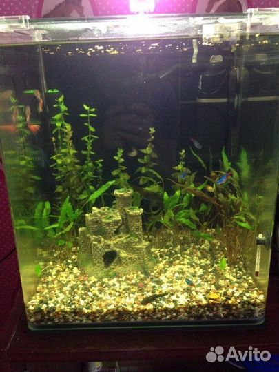 Аквариум