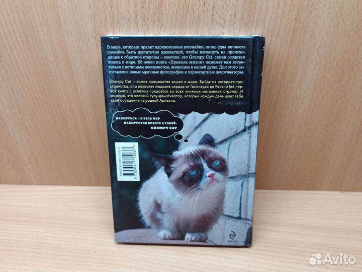 Правила жизни Grumpy cat