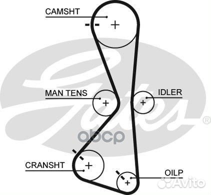 Ремень грм 122зуб,20mm 5609XS Gates
