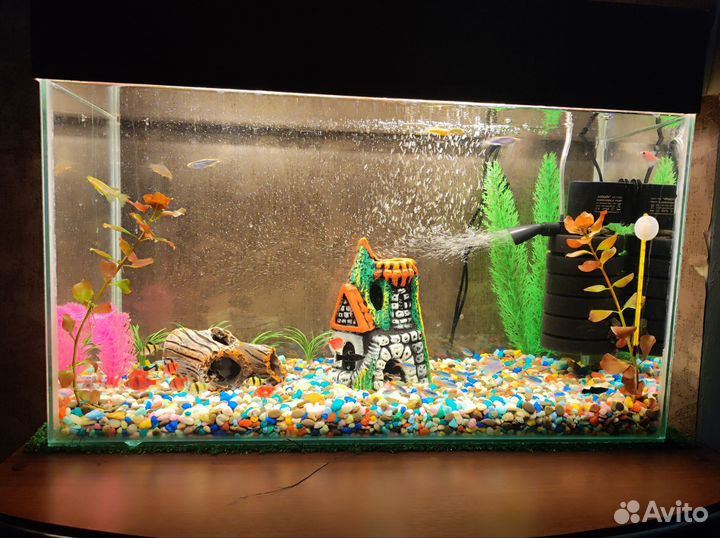 Аквариум