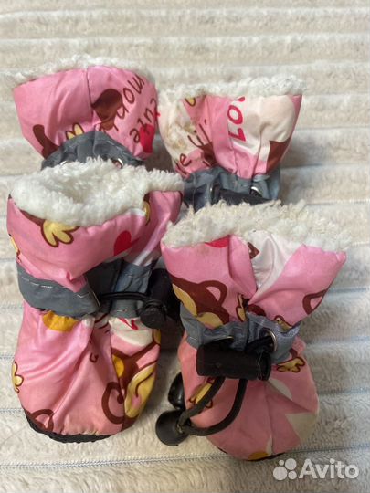 Вещи для маленькой собачки