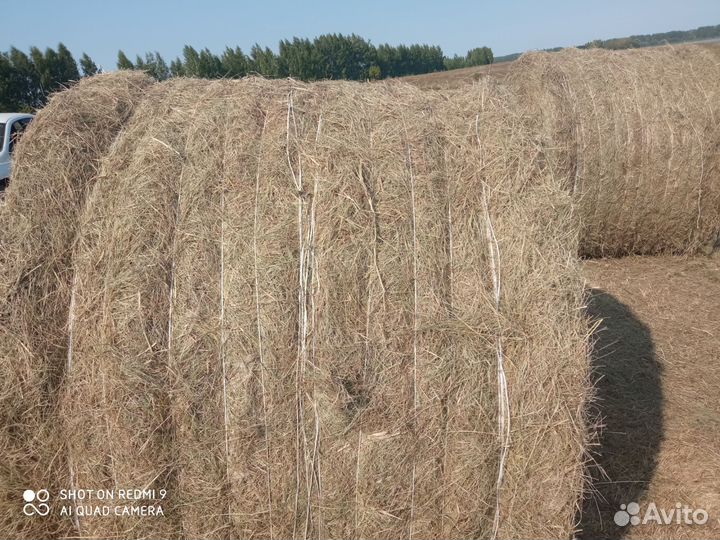 Сено в тюках