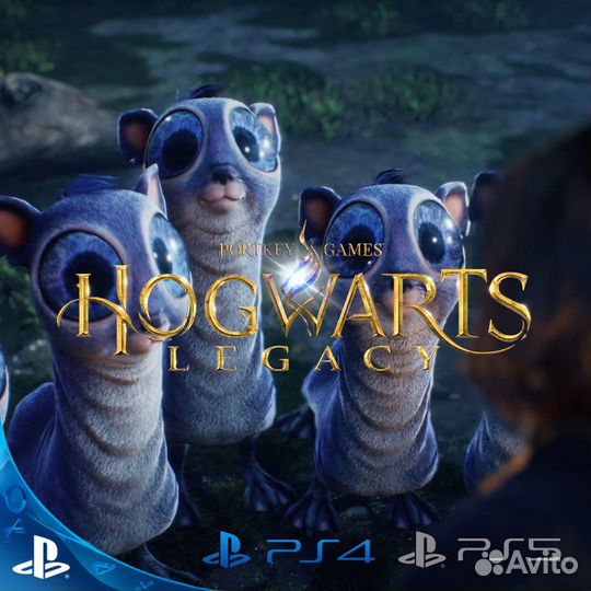 Hogwarts Legacy Xbox Пермь