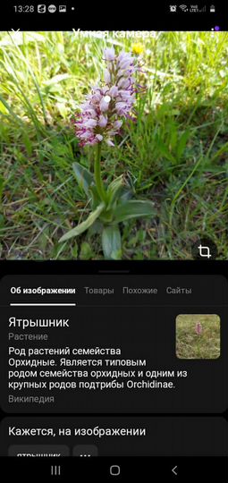 Участок 2 га (СНТ, ДНП)