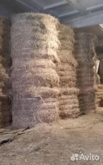 Сено луговое 2023