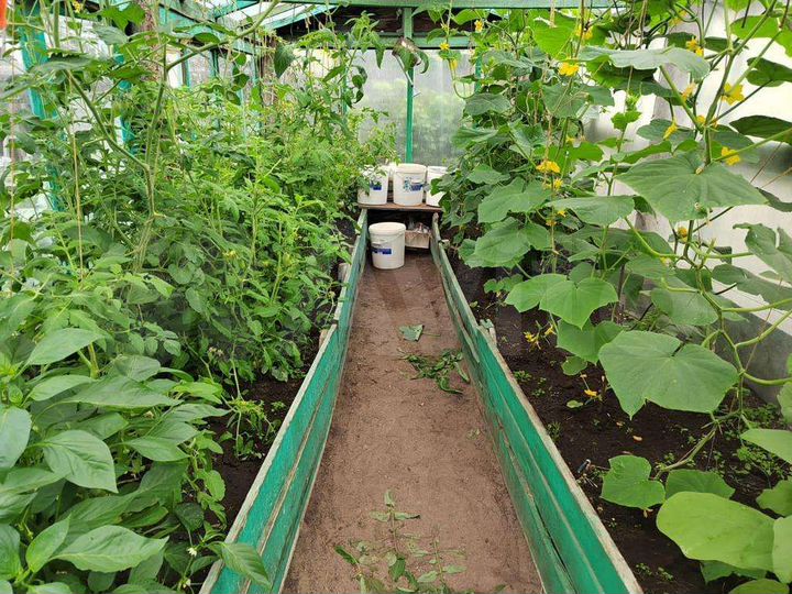 Дача 25 м² на участке 4 сот.