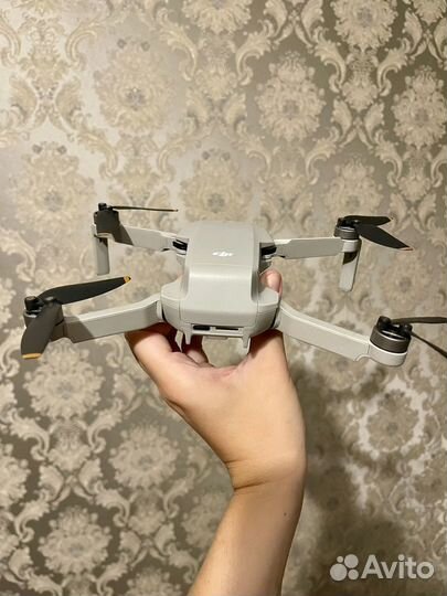 Квадрокоптер dji mini 2