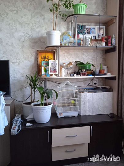 Тумба под телевизор+ полки