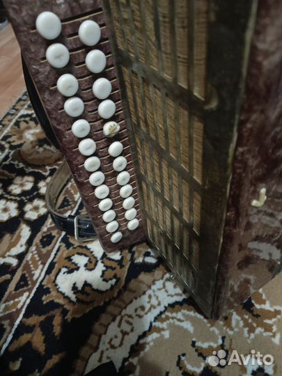 Гармонь старая