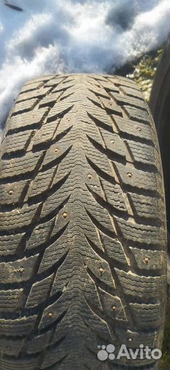 Blacklion W506 Ice Pioneer 205/55 R16