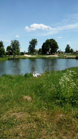 Участок 10 сот. (ИЖС)