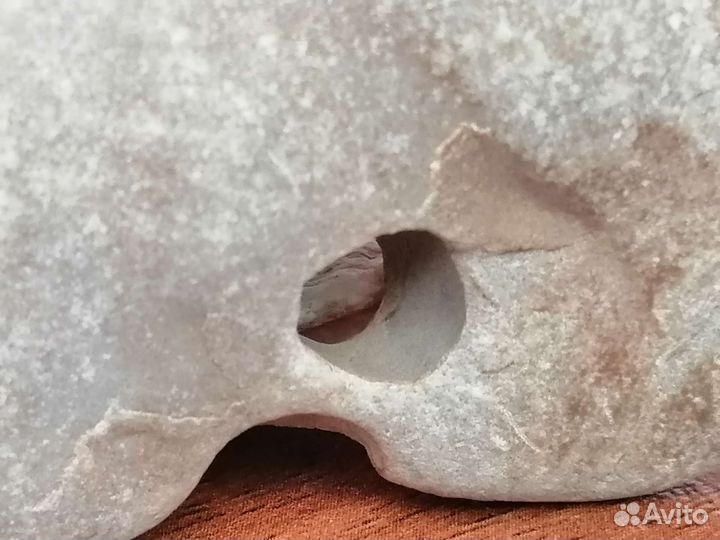 4 ракушки и уникальный куринный бог