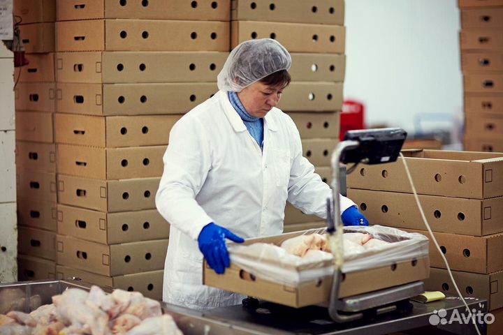 Работник вахтой на птицефабрику ст.Выселки