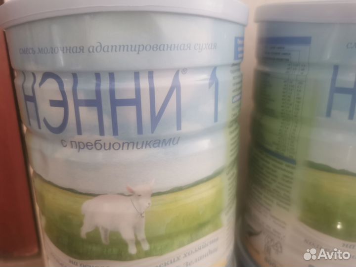 Нэнни 1