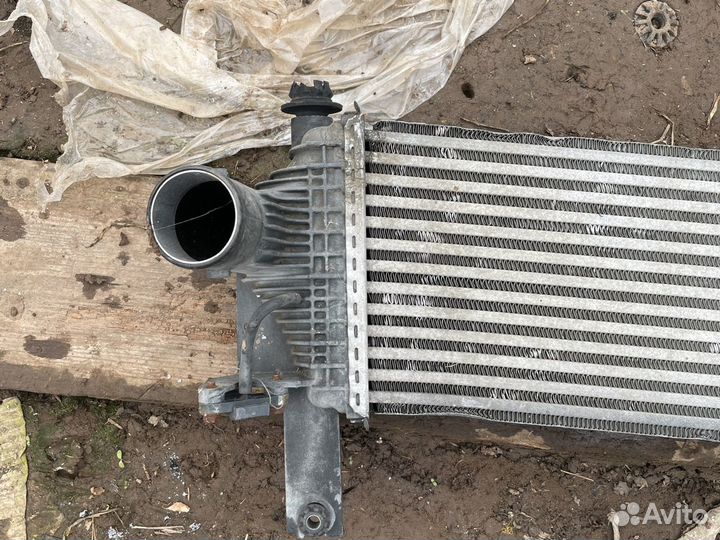 Интеркуллер Nissan Navara