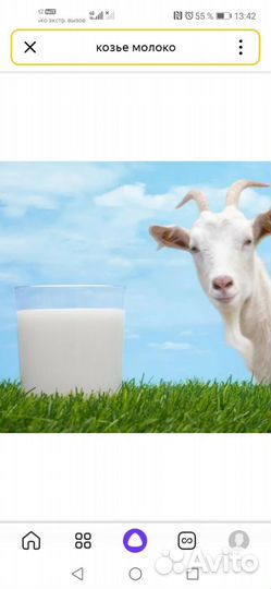 Козье молоко