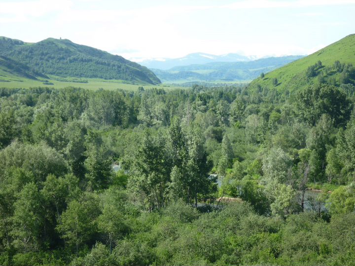 Участок 70,31 га (СНТ, ДНП)