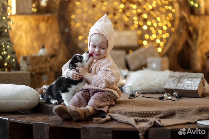 Новогодняя фотосессия в студии с фотографом