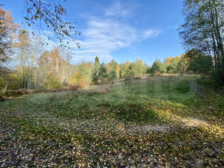 Участок 15 сот. (ИЖС)