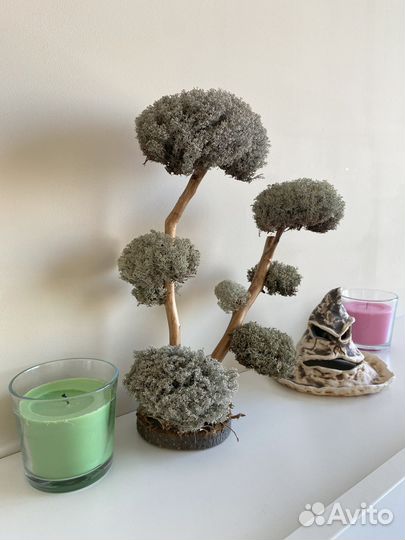 Дерево в ванную