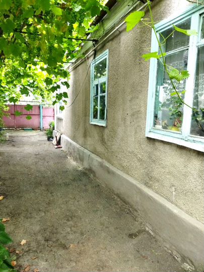 Дом 52,8 м² на участке 6,6 сот.