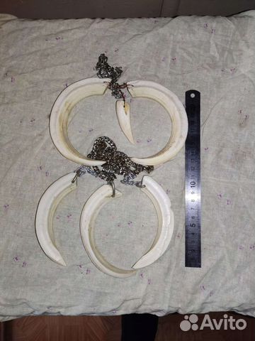 Клыки от кабана