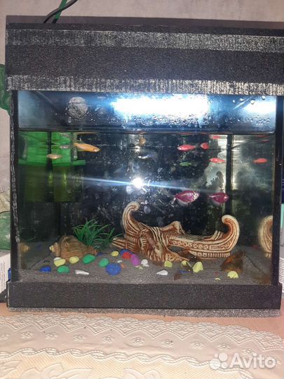 Аквариум