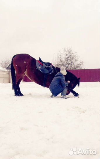 Конный клуб