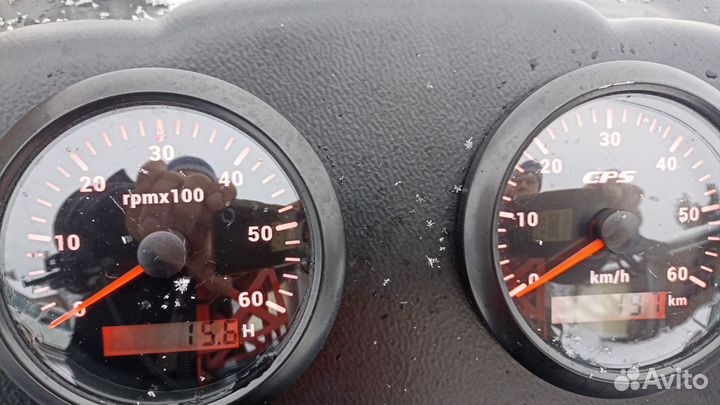 Бурлак Беркут