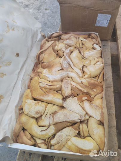 Корм для животных