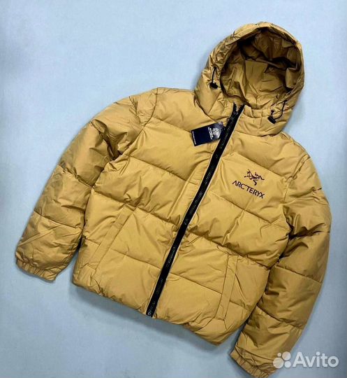 Куртка зимняя Arcteryx