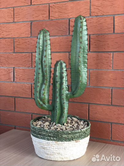 Кактус искусственный